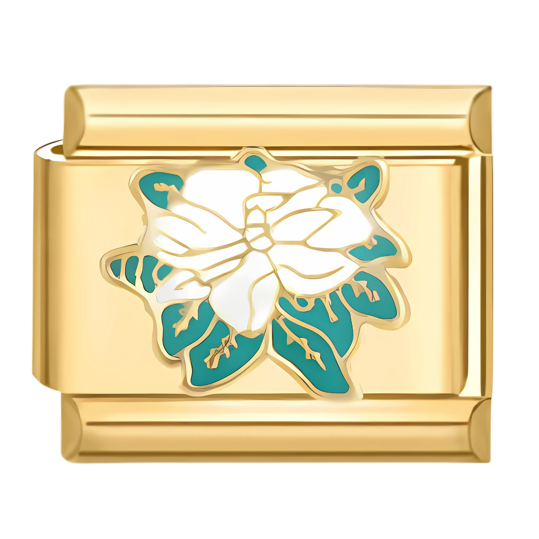 Alba Flower